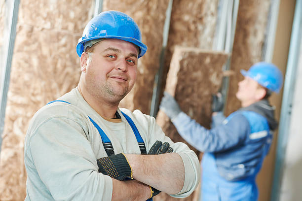 Best Attic Insulation Near Me  in Kotlik, AK
