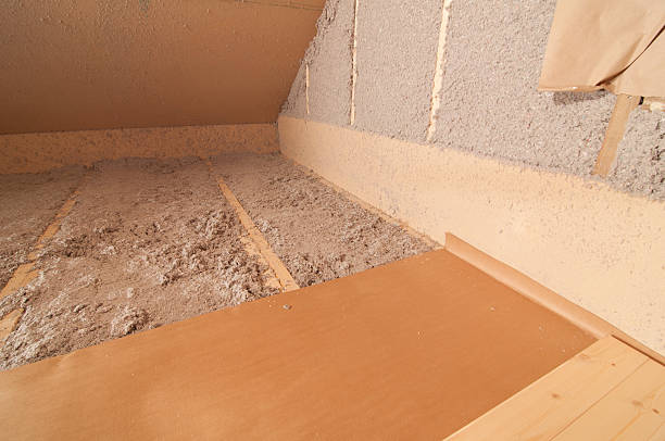 Best Insulation Inspection Services  in Kotlik, AK