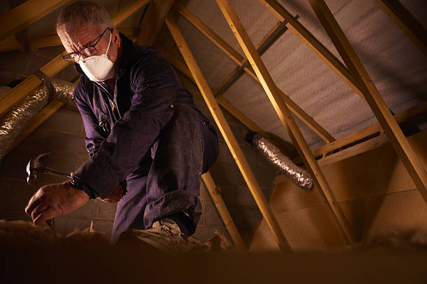 Best Best Insulation Companies  in Kotlik, AK